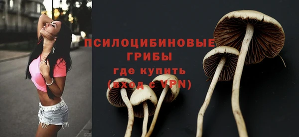 эйфоретик Абаза