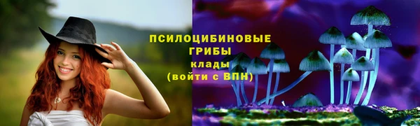 винт Абинск