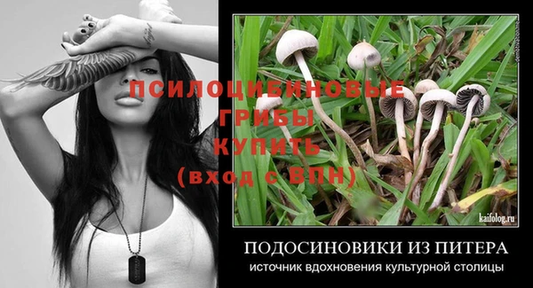 эйфоретик Абаза