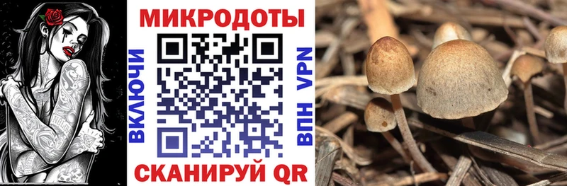 Псилоцибиновые грибы прущие грибы  Нерчинск 