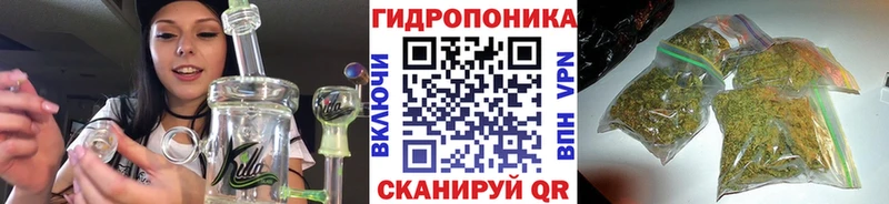 наркота Нерчинск Шишки марихуана Ganja